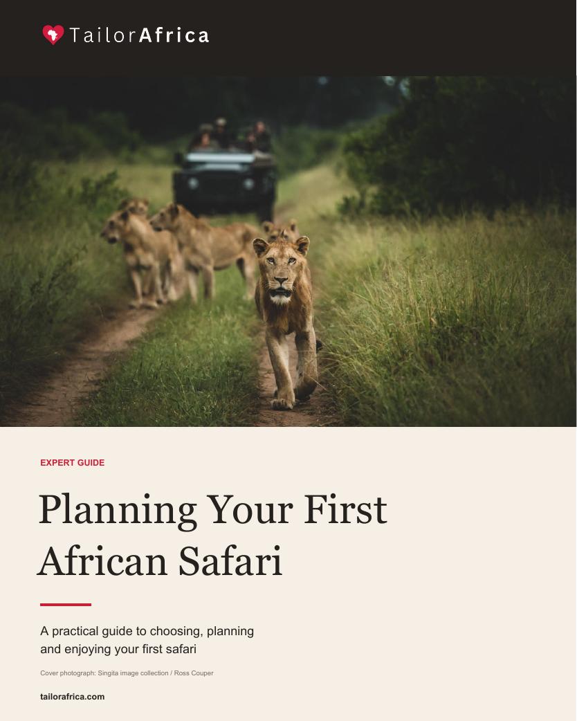 The First Time Safari Planning Guide cover